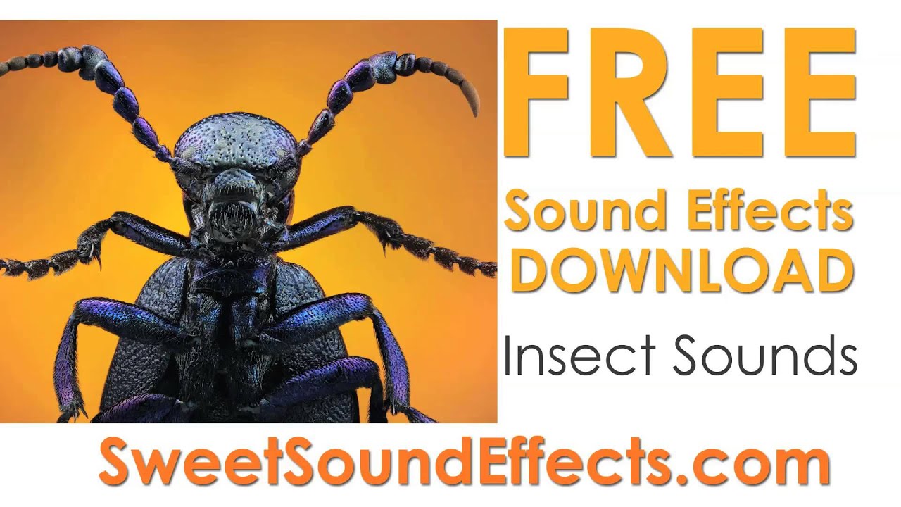 free sound effects download